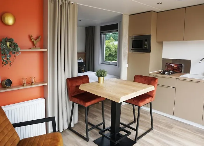 28-persoons Groep Apartamento Voorthuizen