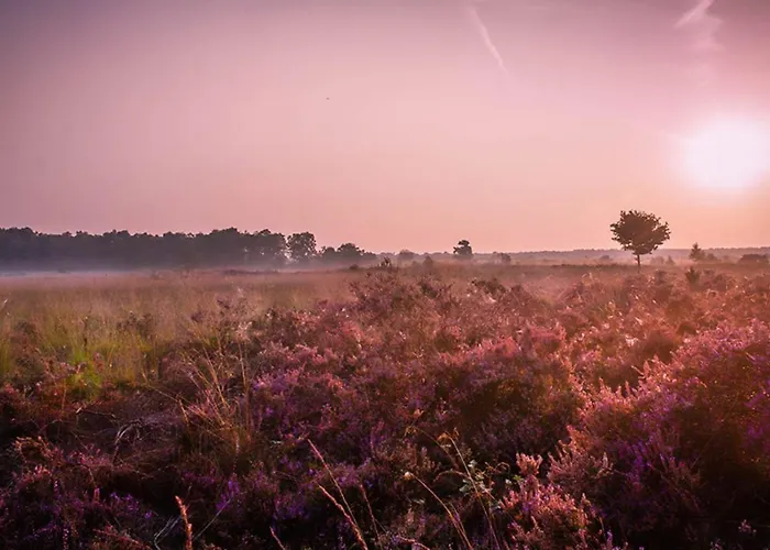 28-persoons Groep דירה